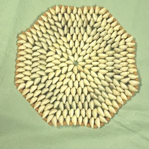 Vintage Cowrie Seashell Trivet Hot Pad 9"